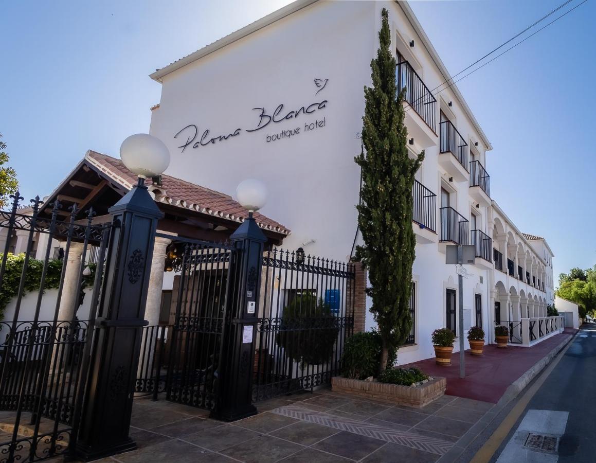 Paloma Blanca Boutique Hotel- Adults Recommended Marbella Zewnętrze zdjęcie